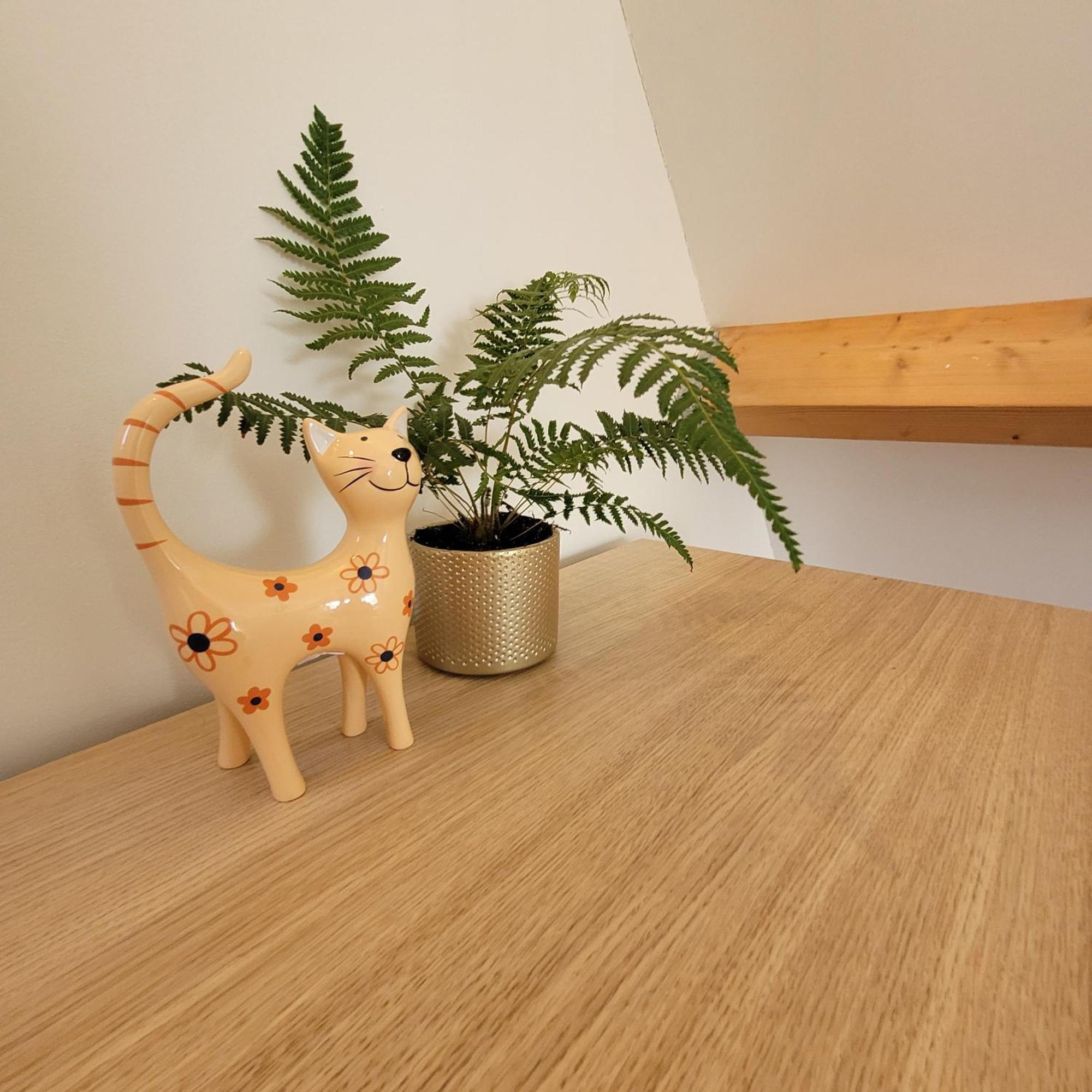 Ecolodges De Dreef Guesthouse レーネスセ エクステリア 写真