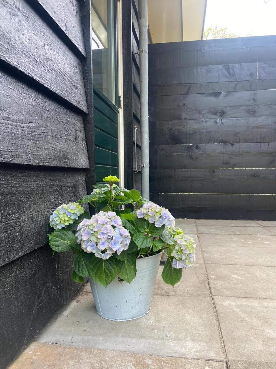 Ecolodges De Dreef Guesthouse レーネスセ エクステリア 写真