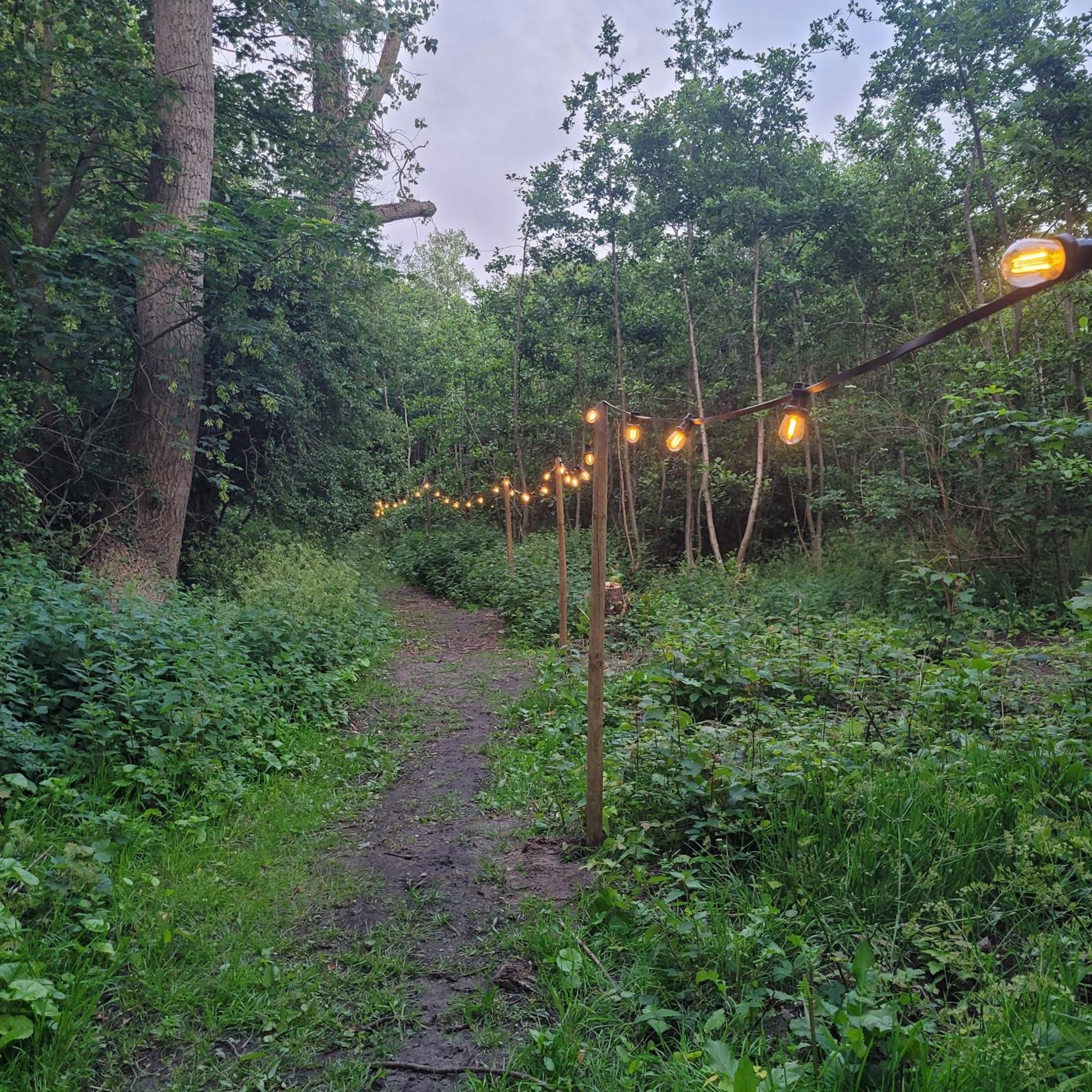 Ecolodges De Dreef Guesthouse レーネスセ エクステリア 写真